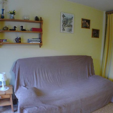 Studio Cosy Au Centre De Samoens Avec Parking Privatif - Fr-1-629-118 Samoëns Exterior foto